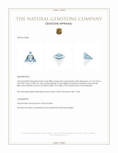 0.84 Ct. Blue Aquamarine from Mozambique Appraisal