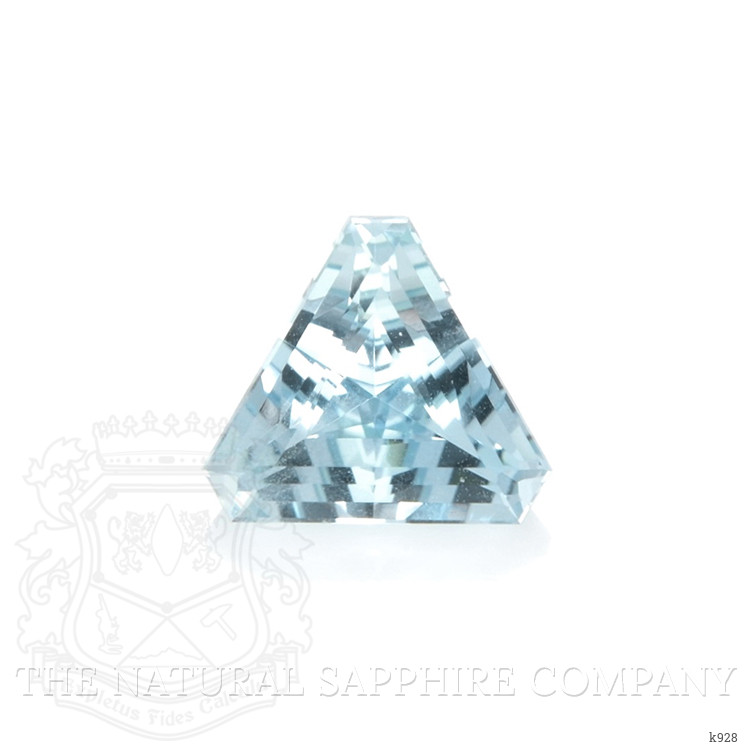 1.05 Ct. Aquamarine from Mozambique