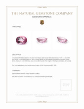 2.10 Ct. Topaz from Ceylon (Sri Lanka) Appraisal