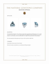 1.09 Ct. Blue Aquamarine from Mozambique Appraisal