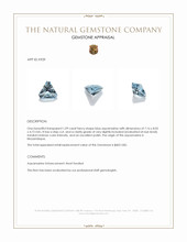 1.09 Ct. Aquamarine from Mozambique Appraisal