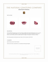 0.75 Ct. Spinel from Ceylon (Sri Lanka) Appraisal