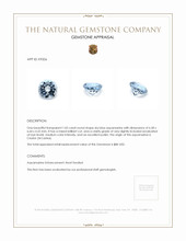 1.05 Ct. Aquamarine from Ceylon (Sri Lanka) Appraisal