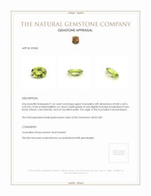 1.62 Ct. Tourmaline from Mozambique Appraisal