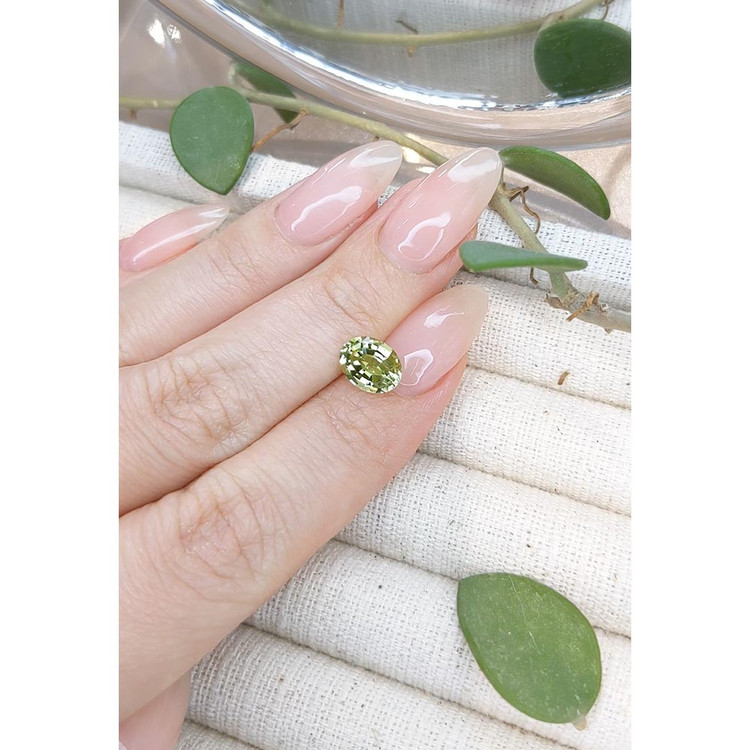 1.62 Ct. Tourmaline from Mozambique