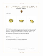 0.77 Ct. Tourmaline from Mozambique Appraisal