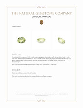 0.20 Ct. Tourmaline from Mozambique Appraisal