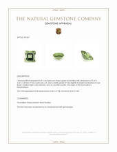 0.81 Ct. Tourmaline from Mozambique Appraisal