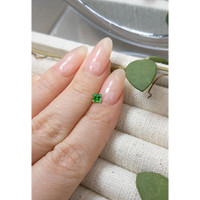 0.30 Ct. Chrome Tourmaline from Mozambique Life Style