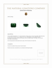 1.17 Ct. Chrome Tourmaline from Mozambique Appraisal