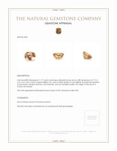 1.77 Ct. Zircon from Ceylon (Sri Lanka) Appraisal