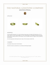 1.03 Ct. Tourmaline from Mozambique Appraisal