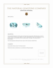 14.05 Ct. Aquamarine from Mozambique Appraisal