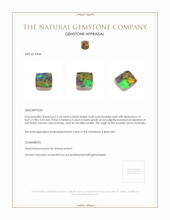 2.73 Ct. Boulder Opal from Australia Appraisal