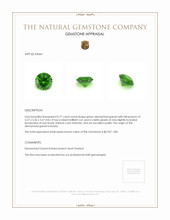 0.77 Ct. Demantoid Garnet from Russia Appraisal