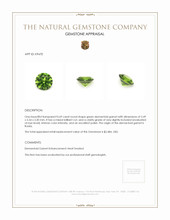 0.69 Ct. Demantoid Garnet from Russia Appraisal