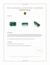 6.86 Ct. Tourmaline from Brazil Appraisal
