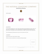 2.67 Ct. Topaz from Burma (Myanmar) Appraisal