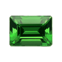 0.62 Ct. Chrome Tourmaline from Mozambique Video