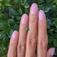 0.40 Ct. Chrome Tourmaline from Mozambique Life Style