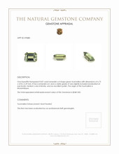 Jewelry Appraisal