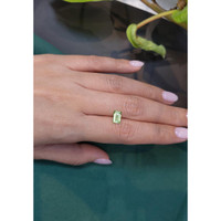 1.05 Ct. Tourmaline from Mozambique Life Style
