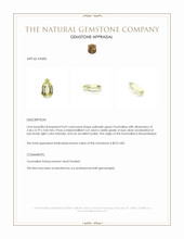 0.69 Ct. Tourmaline from Mozambique Appraisal