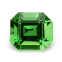 0.26 Ct. Chrome Tourmaline from Mozambique Video