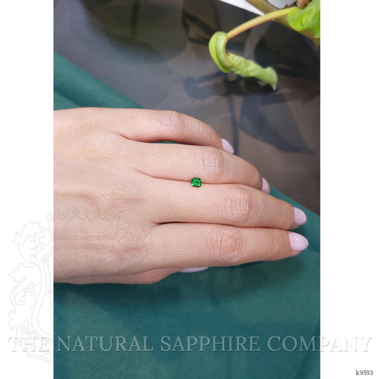 0.26 Ct. Chrome Tourmaline from Mozambique