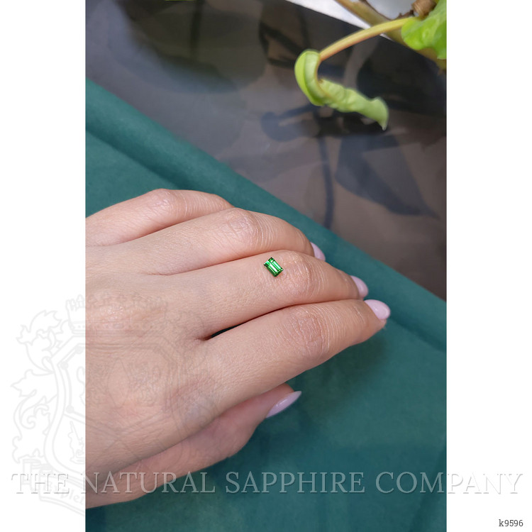 0.32 Ct. Chrome Tourmaline from Mozambique