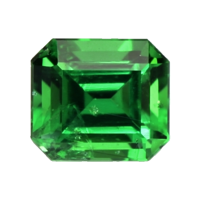 0.39 Ct. Chrome Tourmaline from Mozambique Video