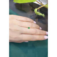 0.23 Ct. Chrome Tourmaline from Mozambique Life Style