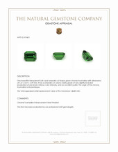 0.68 Ct. Chrome Tourmaline from Mozambique Appraisal
