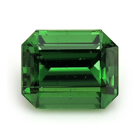 0.68 Ct. Chrome Tourmaline from Mozambique Video