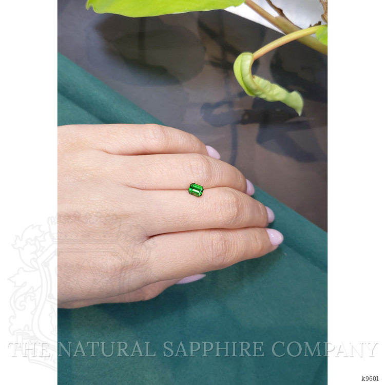 0.68 Ct. Chrome Tourmaline from Mozambique