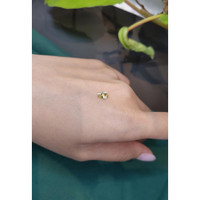 0.60 Ct. Tourmaline from Mozambique Life Style