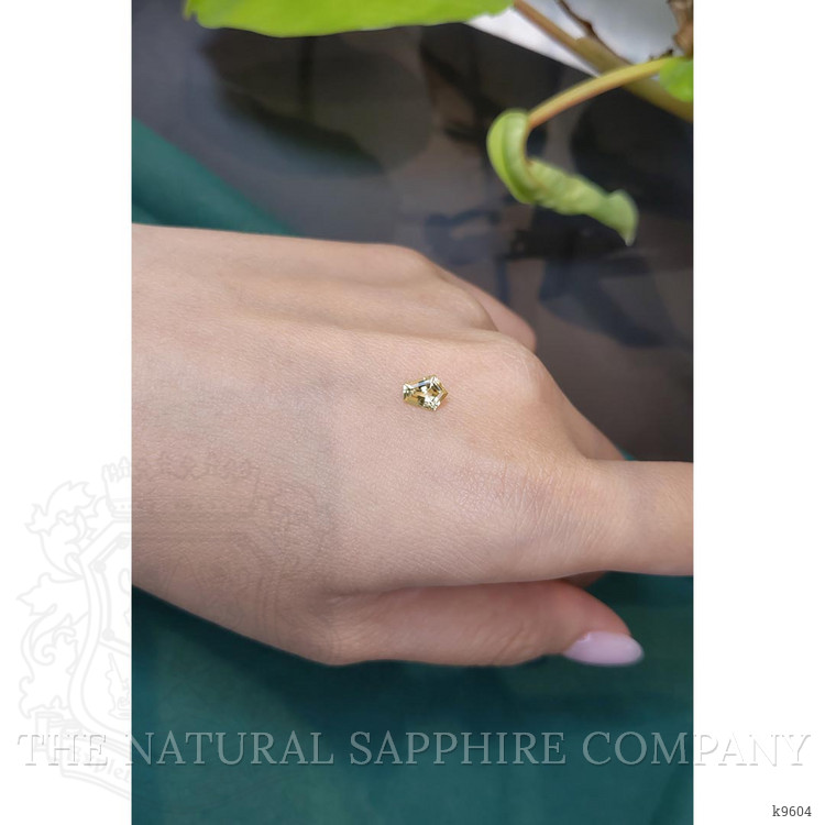 0.60 Ct. Tourmaline from Mozambique