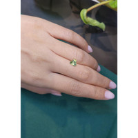 0.90 Ct. Tourmaline from Mozambique Life Style