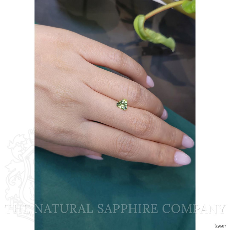 0.90 Ct. Tourmaline from Mozambique