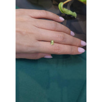 0.58 Ct. Tourmaline from Mozambique Life Style