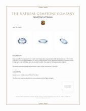0.61 Ct. Aquamarine from Brazil Appraisal