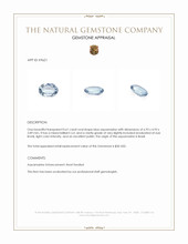 0.61 Ct. Aquamarine from Brazil Appraisal