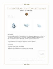 0.61 Ct. Aquamarine from Brazil Appraisal