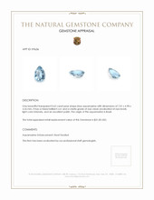0.62 Ct. Aquamarine from Brazil Appraisal