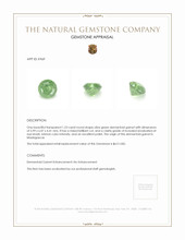 1.23 Ct. Demantoid Garnet from Madagascar Appraisal