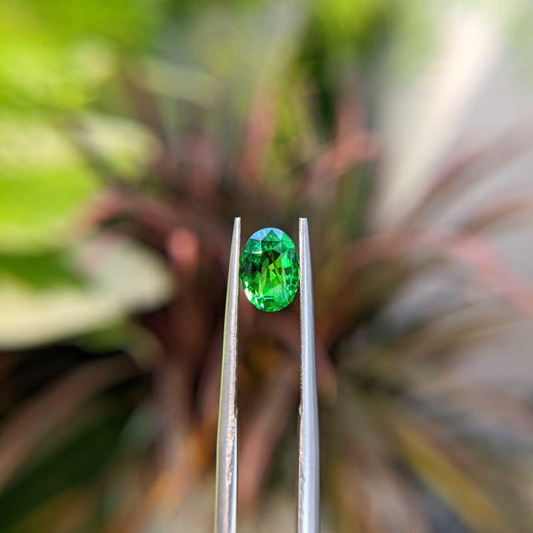 1.51 Ct. Tsavorite Garnet from Tanzania