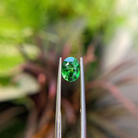 1.78 Ct. Tsavorite Garnet from Tanzania Life Style