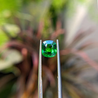 2.51 Ct. Tsavorite Garnet from Tanzania Life Style