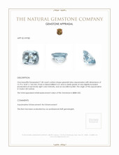 7.40 Ct. Aquamarine from Ceylon (Sri Lanka) Appraisal
