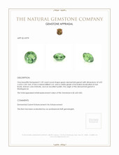 1.09 Ct. Demantoid Garnet from Madagascar Appraisal